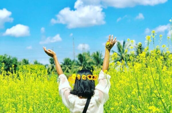 Luu Ban Nhap Tu Dong 17