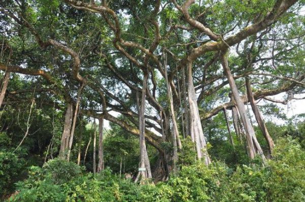 Top 30 Địa Điểm Du Lịch Đà Nẵng Nhất Định Phải Đi 1 Lần Trong Đời